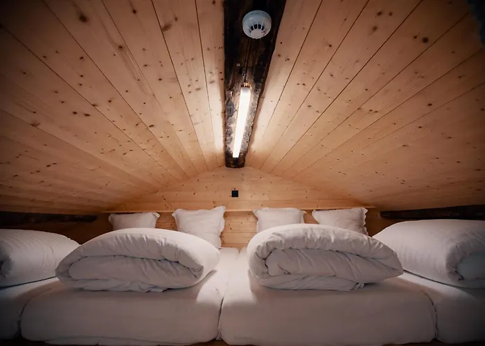 Hotel Le Mayen De Colombire Crans-Montana