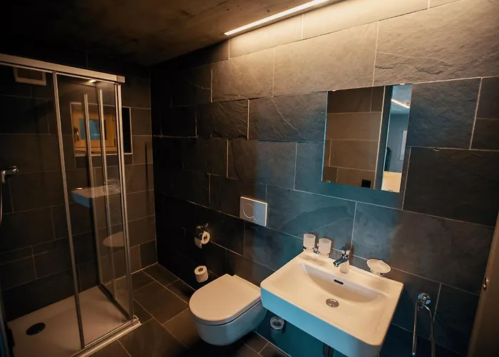 Le Mayen De Colombire ホテル